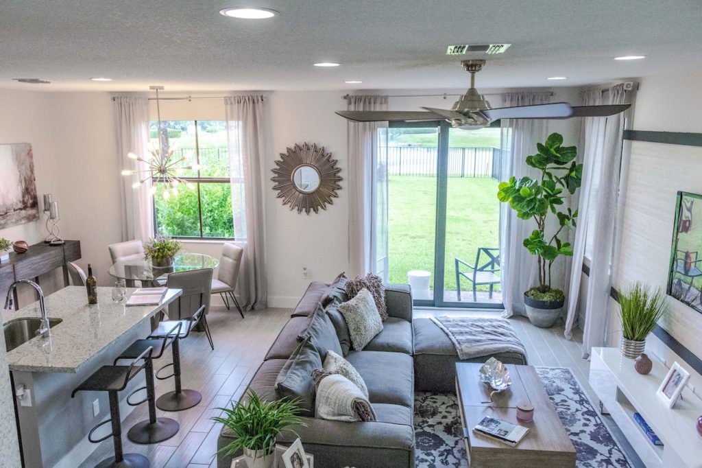 How to arrange plants in your living room